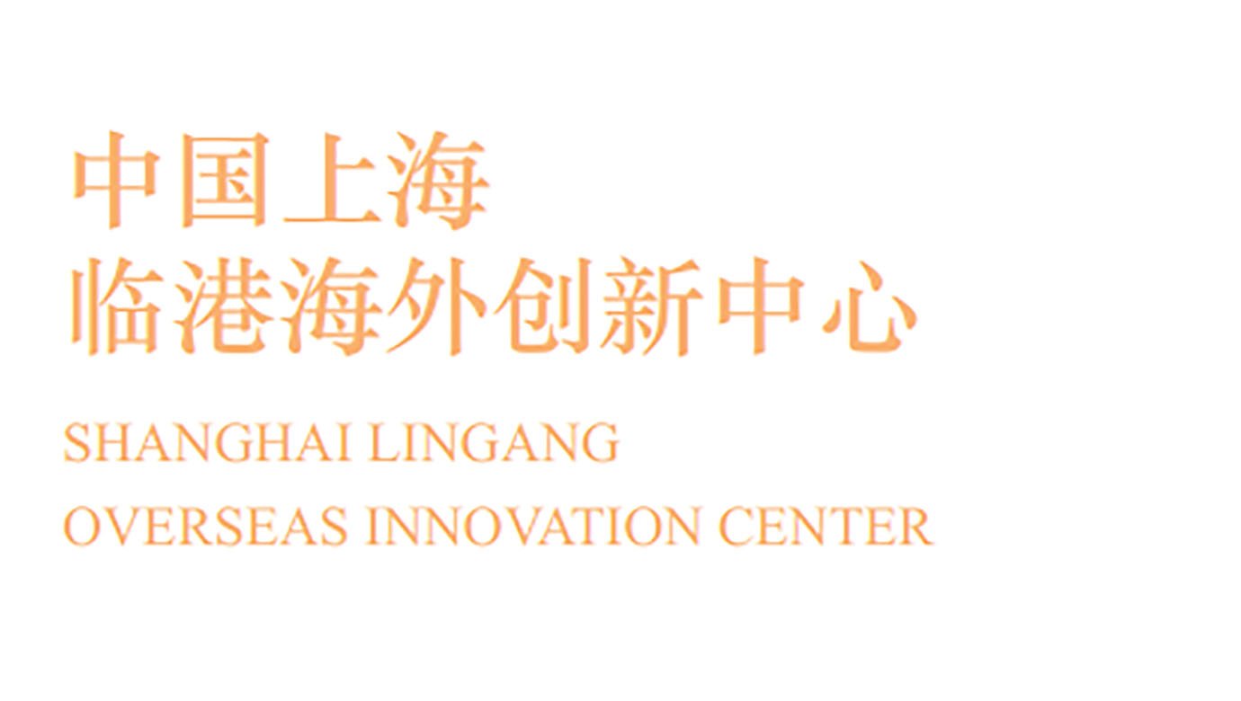 政府优惠政策