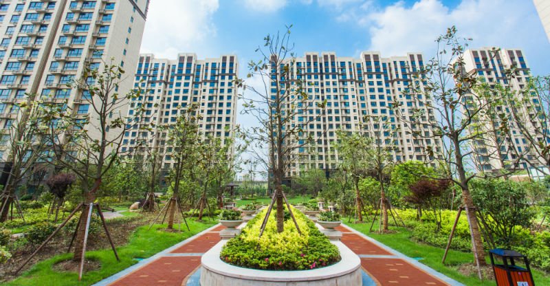 运营位于临港韦德世界杯最新版下载区区